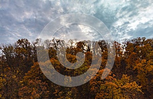 Autumn colorful forest with epic clouds