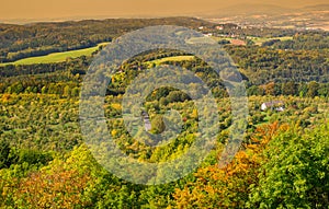 Autumn colorful forest view from above.