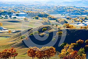 The autumn colorful grassland scenic