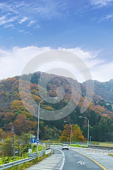 Autumn colorful of Japan, maple leaves change color  tree on the express highway road, road to yamanashi, japan