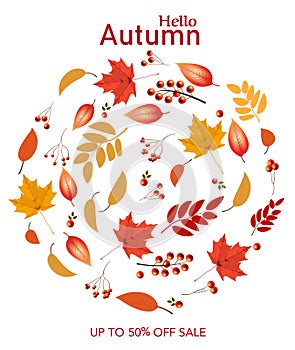 Autumn Colorful Leaves Sale Background photo