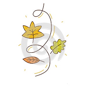 Autumn colorful leaves swirl in the wind. Vector