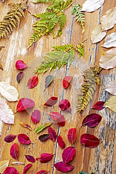 Autumn colorful leaves on a wooden country table vertical format, natural background photo