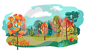 Autumn colorful trees. Beautiful vector illustration.