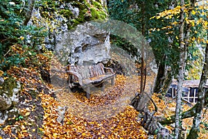 Autumn and colorful trees and leaves, waterfall,forest photo