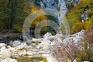 Autumn and colorful trees and leaves, waterfall,forest photo