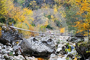 Autumn and colorful trees and leaves, waterfall,forest photo