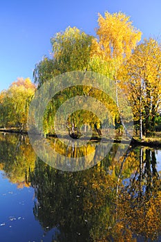 Autumn: colorful trees with water reflections