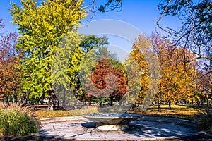 Autumn colorful vegetation of Queens Park - Toronto, Ontario, Canada