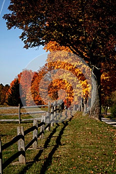 Autumn Colors