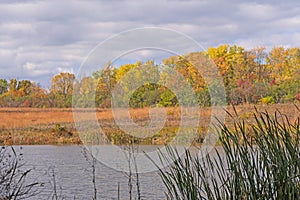 Autumn Colors Across a Wetland Pond