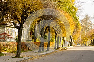 Autumn colors alley in Lithuania