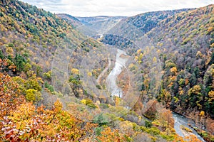 Autumn Colors Along Pine Creek photo