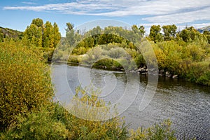 Autumn Colors Alongside the Yampa River in Steamboat Springs Colorado