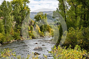 Autumn Colors Alongside the Yampa River in Steamboat Springs Colorado