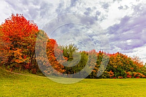 Autumn colors - Autumnal payasage, trees with colorful leaves