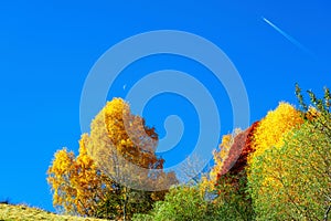 Autumn colors with blue sky, moon and a plane
