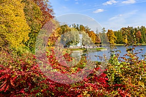 Autumn colors in Catherine park, Pushkin Tsarskoe Selo, Saint Petersburg, Russia