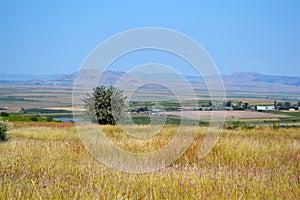 Autumn colors in the central Dobrogea Plateau in early autumn