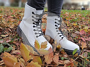 Autumn colors. Close up of beautiful white modern lace-up shoes. A walk on fallen leaves and green grass.