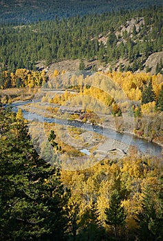 Coldwater Canyon Fall Colors photo