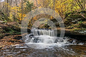 Autumn Colors at Conestoga Falls in Ricketts Glen State Park of Pennsylvania