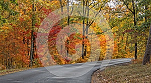 Autumn Colors Of DeSoto State Park photo