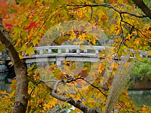 Autumn colors at the Eikando Temple in Kyoto