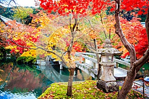 Autumn Colors in Eikando Temple, Kyoto, Kansai, Japan photo