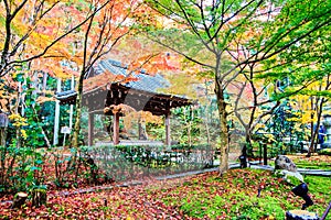 Autumn Colors in Eikando Temple, Kyoto, Kansai, Japan photo