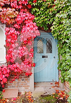 Autumn Colors on an English Cottage photo