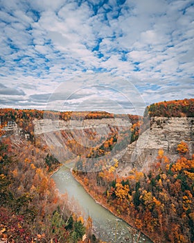 Autumn colors in the gorge at Letchworth State Park, in New York