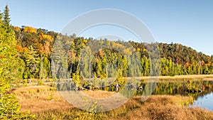 Autumn Colors, Iargo Springs, AuSable Scenic Byway, MI