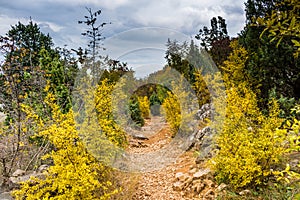 Autumn colors of Krizevac Mount