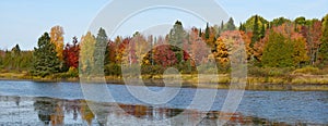 Autumn colors on the lake