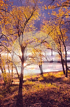 Autumn colors on Lake Champlain photo
