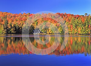 Autumn colors on the lake, Mont Tremblant area, Quebec photo