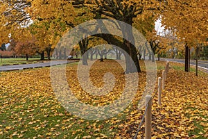 Autumn colors in a landscape Oregon state