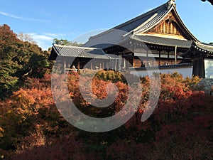 Autumn colors of maple trees in front of tofukuji temple in Kyoto