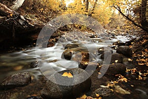 Autumn Colors of McGee Creek, California