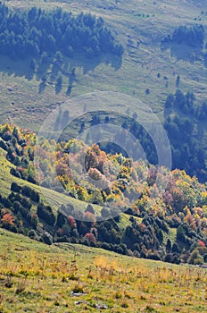 Autumn colors in the mixed mountain forests of the Ordesa-ViÃ±amala Biosphere Reserve, Pyrenees