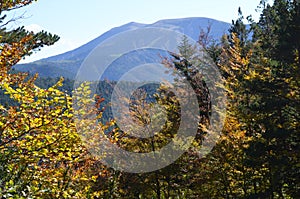 Autumn colors in the mixed mountain forests of the Ordesa-ViÃ±amala Biosphere Reserve, Pyrenees