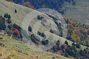 Autumn colors in the mixed mountain forests of the Ordesa-ViÃ±amala Biosphere Reserve, Pyrenees