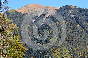 Autumn colors in the mixed mountain forests of the Ordesa-ViÃ±amala Biosphere Reserve, Pyrenees