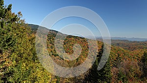 Autumn colors at Mount Mitchell photo