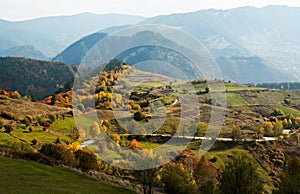 Autumn colors in mountain