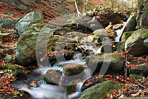 Autumn colors in mountain stream