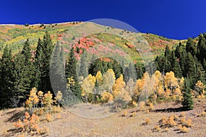 Autumn colors in the mountains