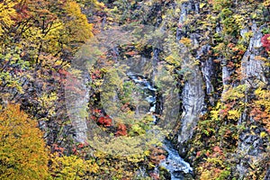 Autumn Colors of Naruko-Gorge in Japan