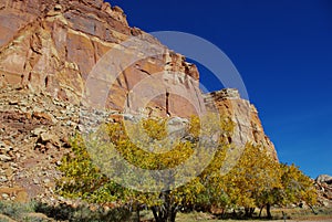 Autumn colors near Fruita, Utah